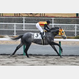 2走前の中京では②着に1馬身3/4差