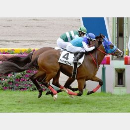 上がり最速で未勝利勝ち