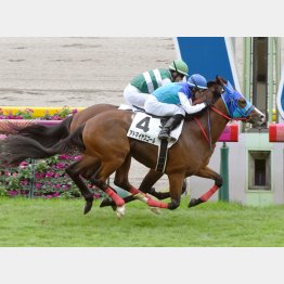 10月未勝利戦で勝ち上がり