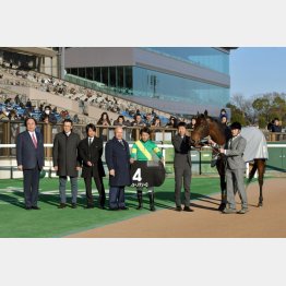 クロッカスSは5番人気で勝利