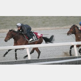 併せた相手に2馬身先着