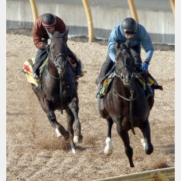 先週は古馬(右)相手に先着