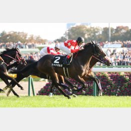 紅葉Sで左回り5勝目