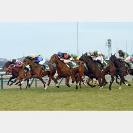 フェアリーSは先行勢で唯一粘り込んだ