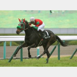 前走は上がり最速で差し切り勝ち