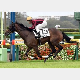 新馬戦は3角先頭から押し切り