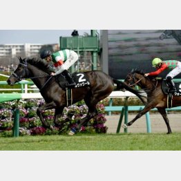 昨春のミモザ賞を快勝