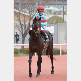 ここを勝って春のマイル戦線へ
