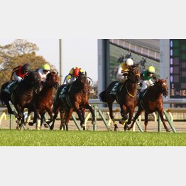 東京スポーツ杯2歳Sが好内容の③着だった(真ん中)