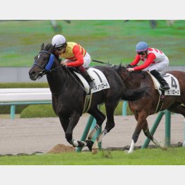 千八の未勝利をV