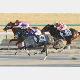亀井は前走③着のエネルムサシでリベンジ狙い