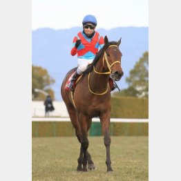 昨年はクリンチャーが快勝