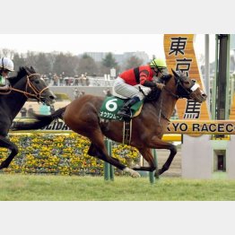昨年は6番人気オウケンムーンがV