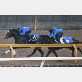 頭先着でフィニッシュ