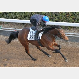 今週は坂路で1F12秒3