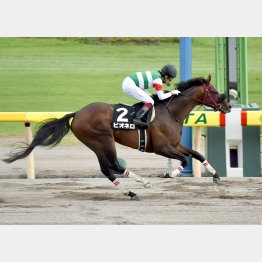 16年のBSN賞以来の美酒だ