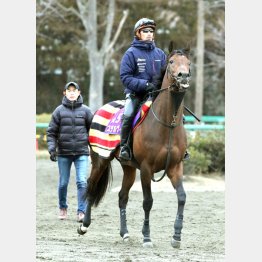 初GⅠ制覇の勢いでここも…(ステルヴィオと木村調教師)