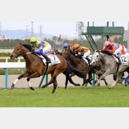 昨年3月にこの舞台で五百万勝ち