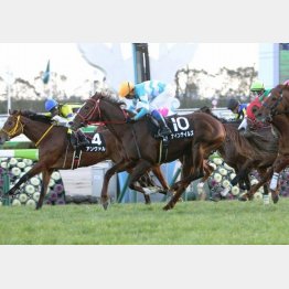 淀短距離S勝ちで好発進
