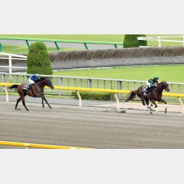 青梅特別はラストを流しての完勝