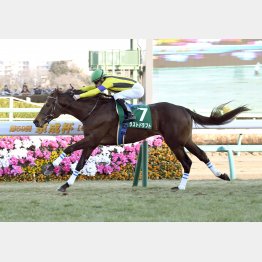 京成杯で2連勝