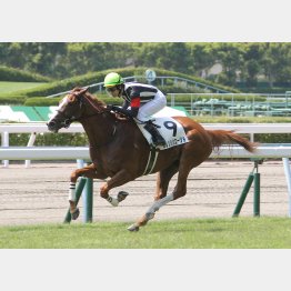 昨夏の小倉で五百万を勝ち上がり