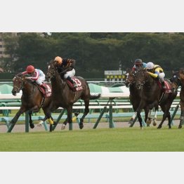 3歳時にはGⅡで0秒1差④着もある