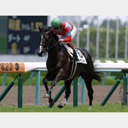 昨年6月の阪神でデビューV