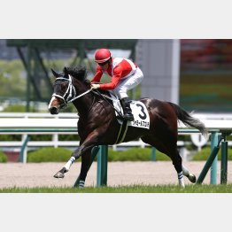 新馬勝ちは鮮やかだった