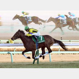 前走・京成杯を完勝
