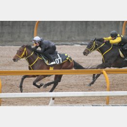 藤岡佑騎手を背に順調な追い切り