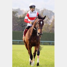 2歳女王は今年初戦をモノにした