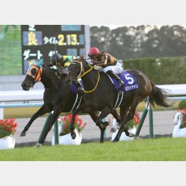 3歳時にエ女王杯勝ち
