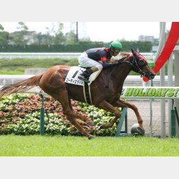 未勝利勝ちは中京だった
