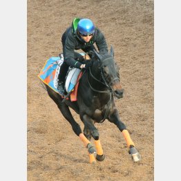 ステイゴールドの晩成の血を実感