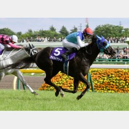 稍重のヴィクトリマイルを差し切り