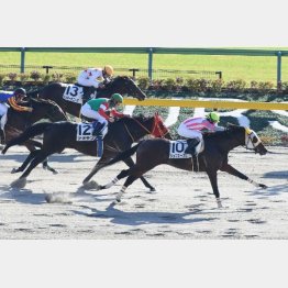 柴田善とのコンビで五百万勝ち