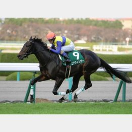 チャレンジCで重賞初制覇