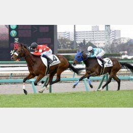デビュー戦ではセンスの良さを見せて快勝