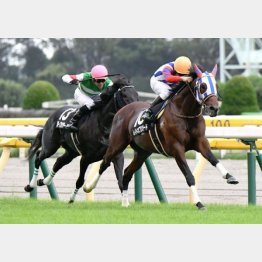 六社特別を快勝した横山典と再コンビ