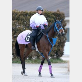中間は明らかに攻めを強化