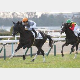 前走はラスト流す余裕を見せた