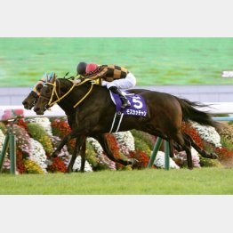 一昨年のエ女王杯でGⅠ勝ち