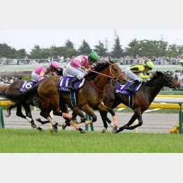 ギベオンはNHKマイルCで首差②着