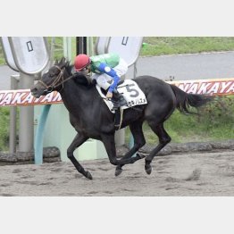 ○キセキノムスメは中山千二で初勝利