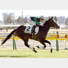 新馬を完勝