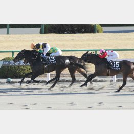 前走は着差以上に強かった
