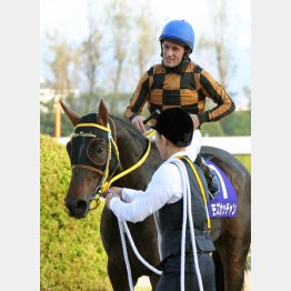 今回は和田騎手で勝負