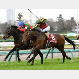昨年の①着ステルヴィオ、②着エポカドーロはともにGⅠウイナーに