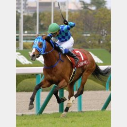 昨年の勝ち馬レインボーラインは天皇賞も制覇
